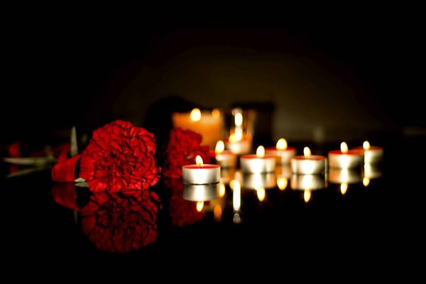 Coût et étapes essentielles pour la crémation de votre chien